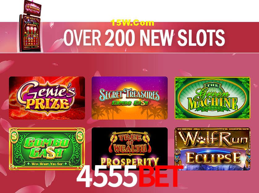 Sports Statistics 4555bet